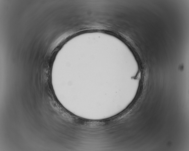 X0000116461163201001061032