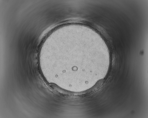 X0000116461164201001061032