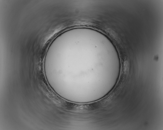 X0000116461165201001061032