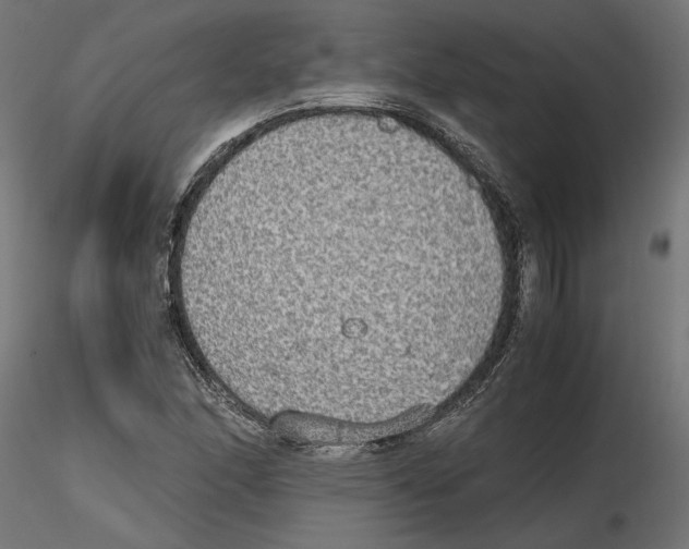 X0000116461166201001061032