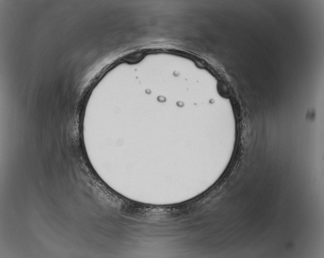 X0000116461167201001061032