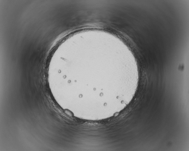 X0000116461168201001061032