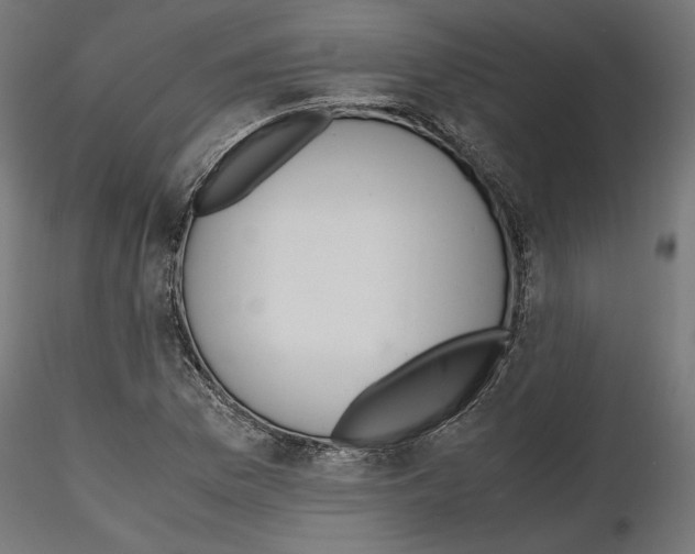 X0000116461169201001061032