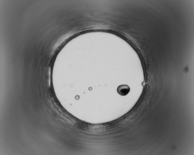 X0000116461171201001061032