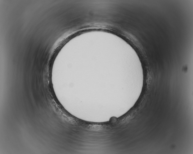 X0000116461172201001061032