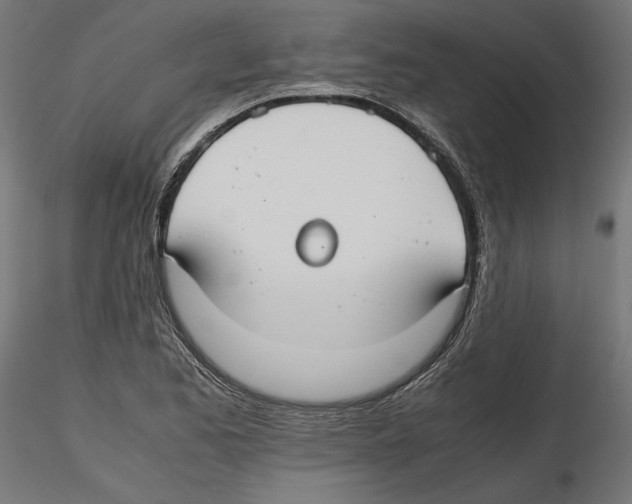X0000116461173201001061032
