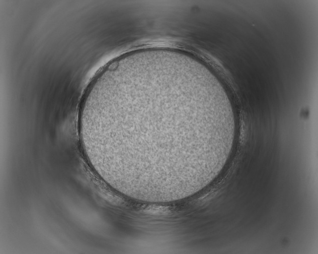 X0000116461174201001061032