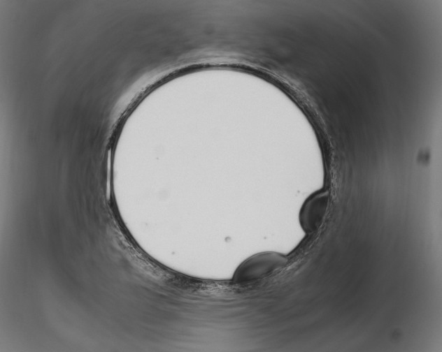 X0000116461175201001061032