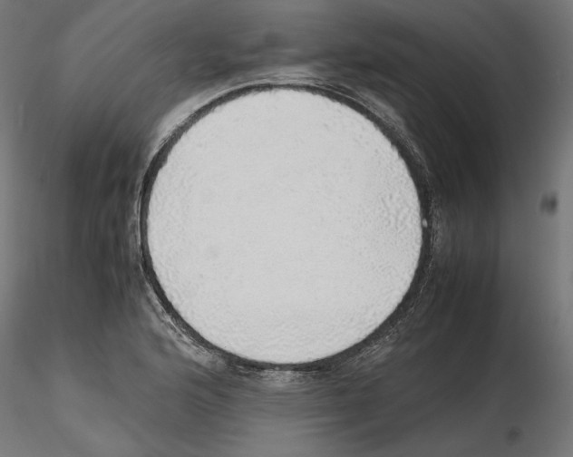 X0000116461176201001061032