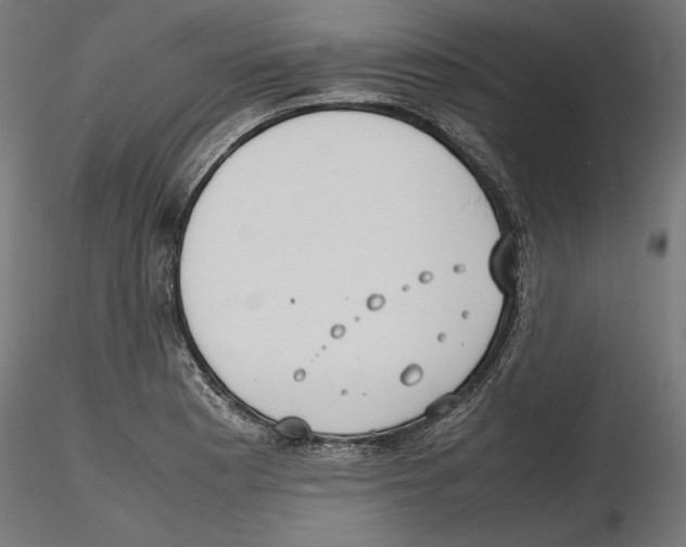 X0000116461177201001061032
