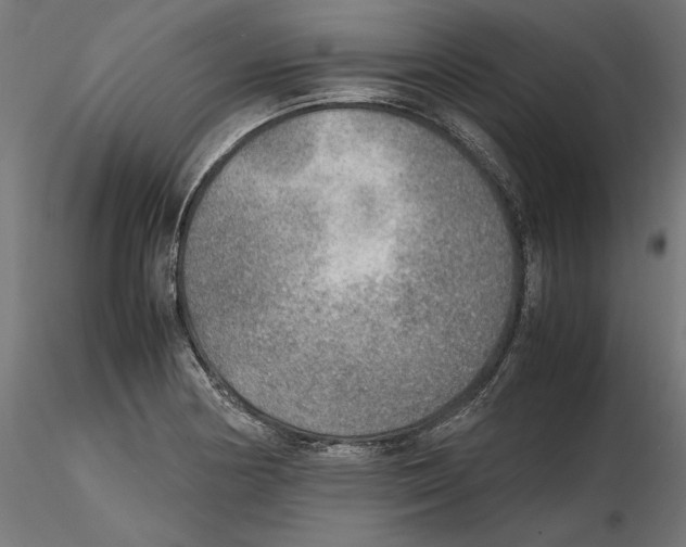 X0000116461178201001061032