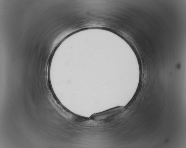X0000116461179201001061032