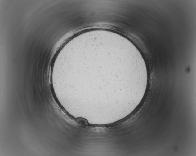 X0000116461180201001061032