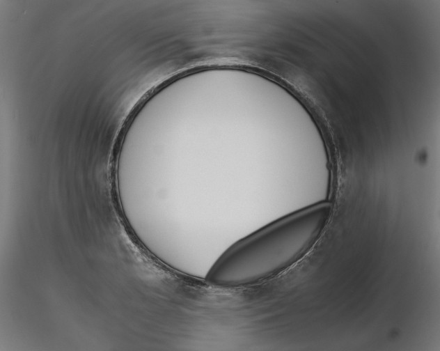 X0000116461181201001061032