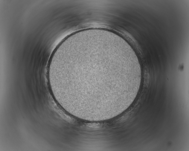 X0000116461182201001061032