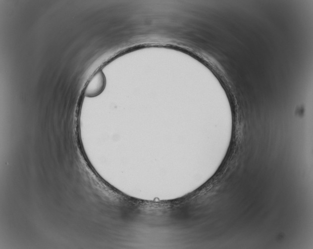 X0000116461183201001061032