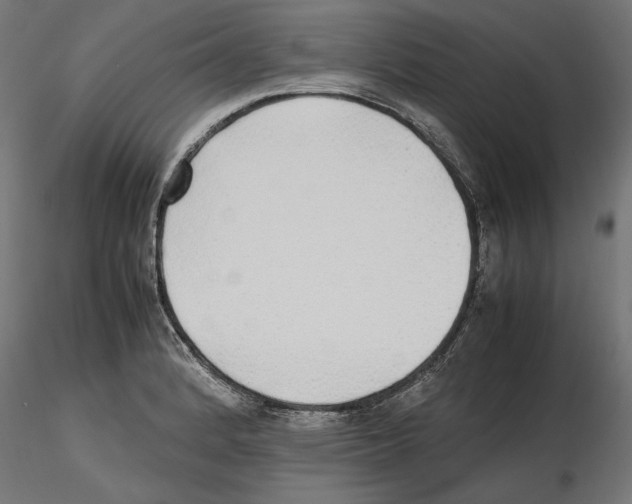 X0000116461184201001061032