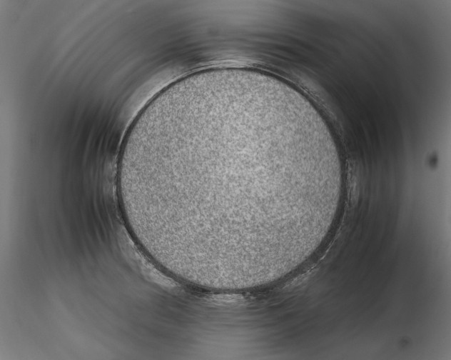 X0000116461186201001061032