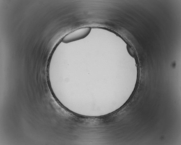 X0000116461189201001061032