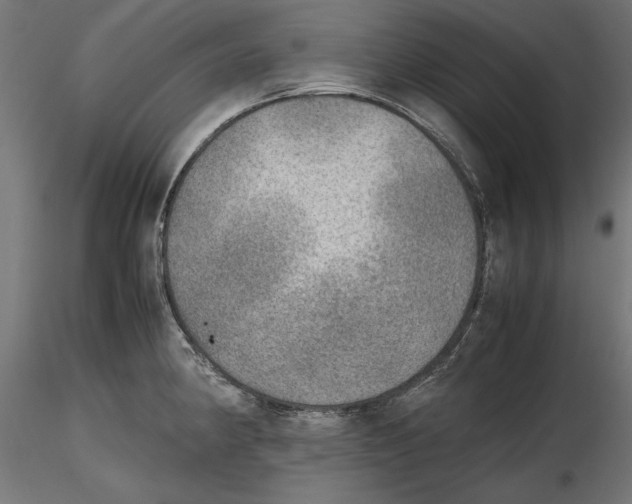 X0000116461190201001061032
