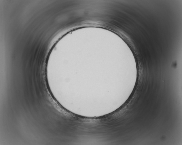 X0000116461192201001061032