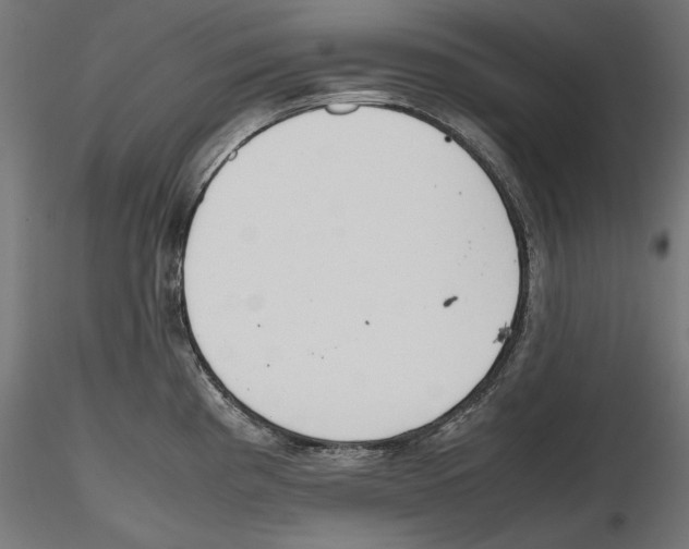 X0000116461193201001061032