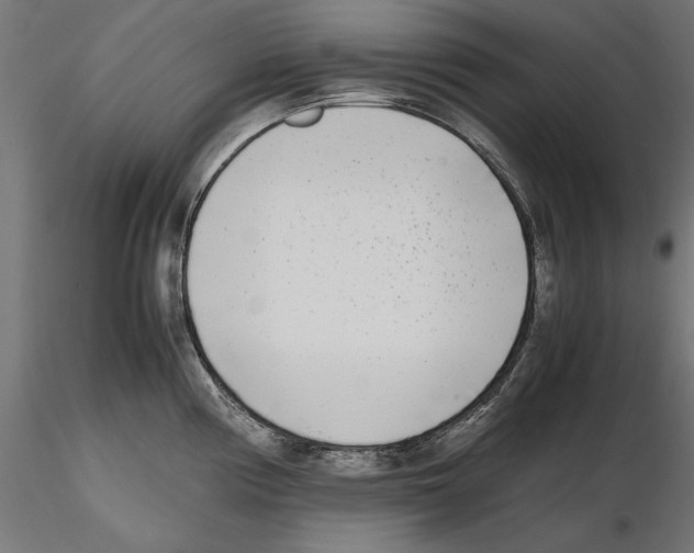 X0000116461194201001061032