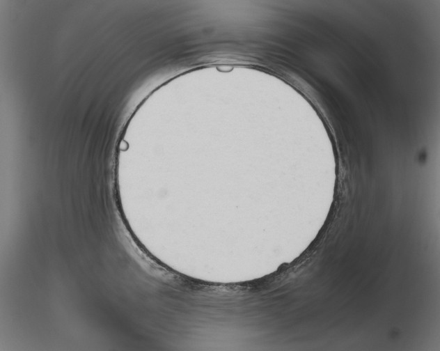 X0000116461195201001061032