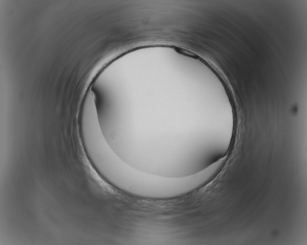 X0000116461197201001061032