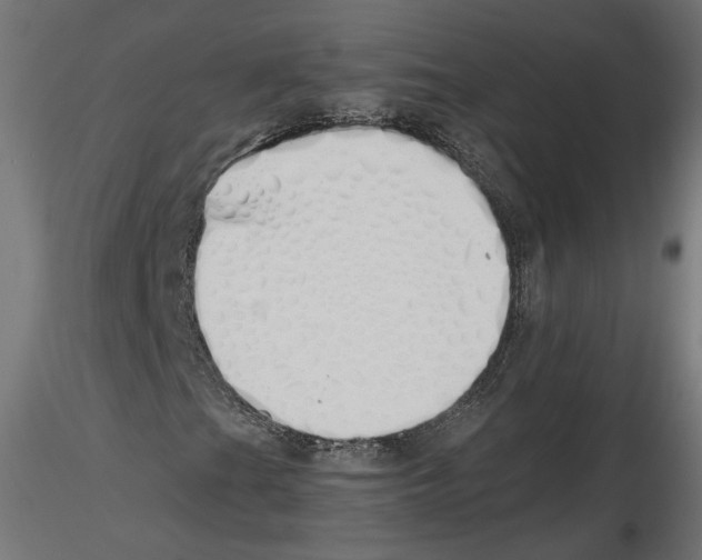 X0000116461201201001061031