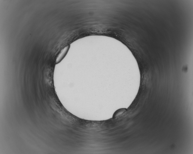 X0000116461202201001061031