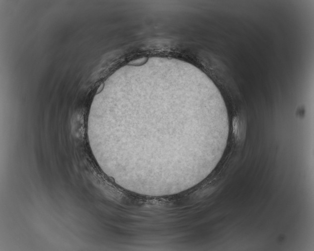 X0000116461203201001061031