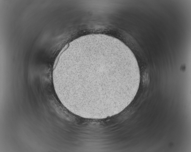 X0000116461204201001061031