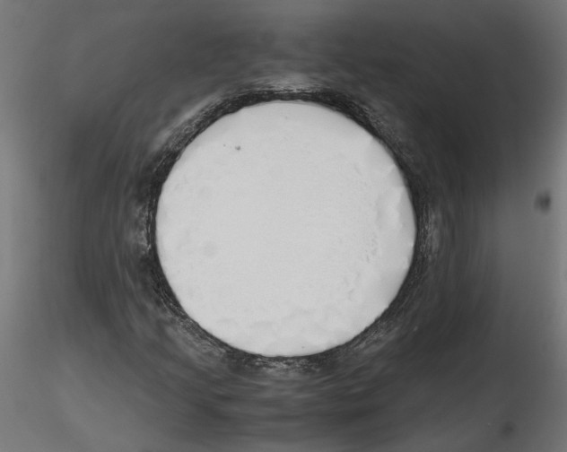 X0000116461205201001061031