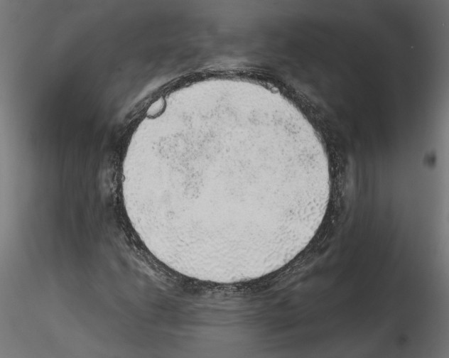 X0000116461206201001061031