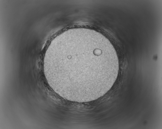 X0000116461207201001061031