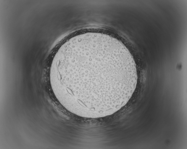 X0000116461208201001061031