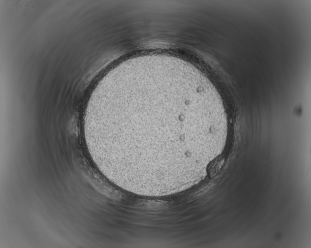 X0000116461209201001061031