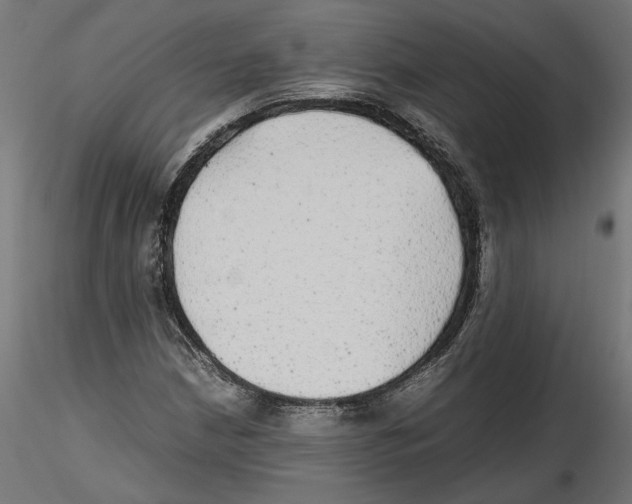X0000116461210201001061031