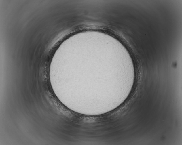 X0000116461211201001061031