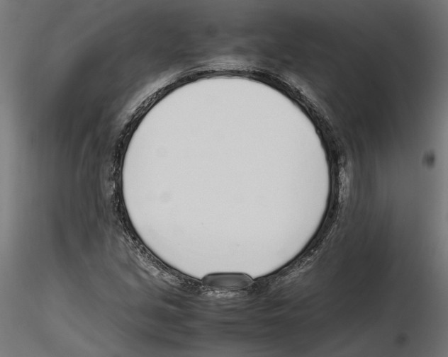X0000116461213201001061031