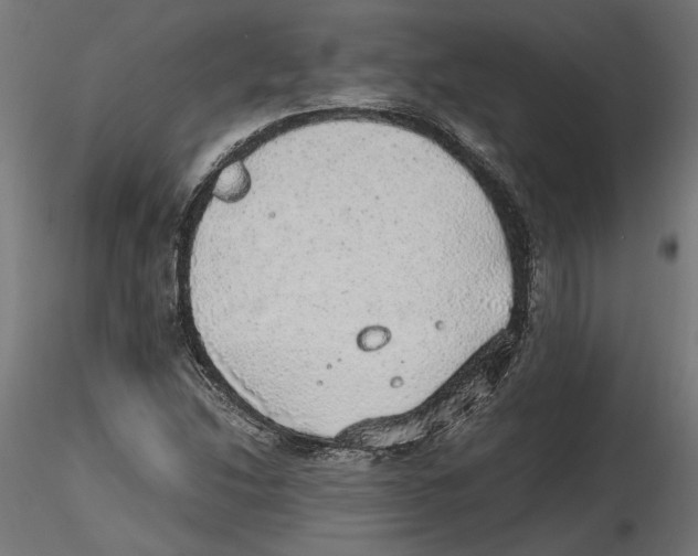 X0000116461214201001061031