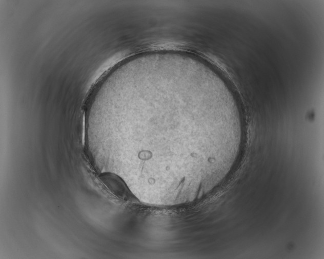 X0000116461219201001061031