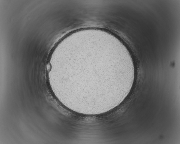 X0000116461220201001061031