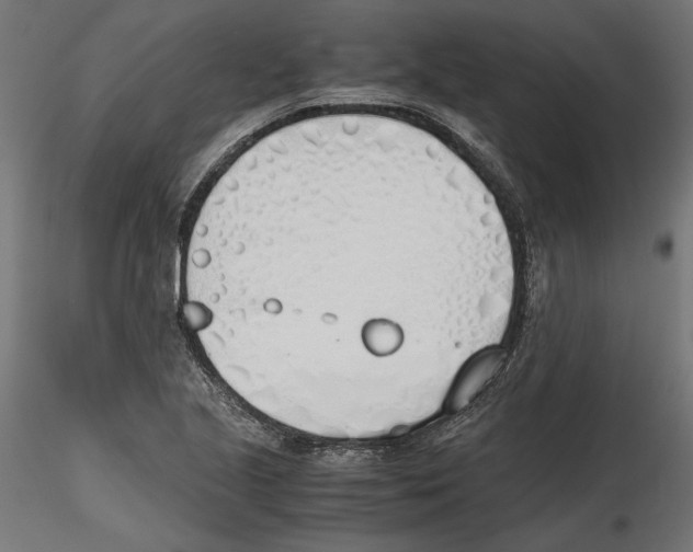 X0000116461221201001061031