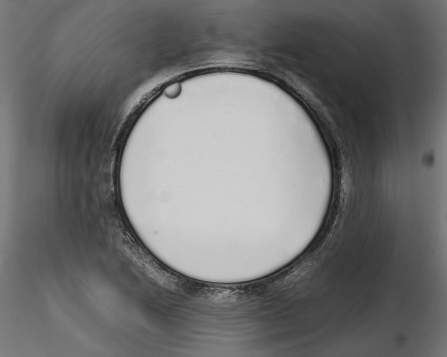 X0000116461222201001061031