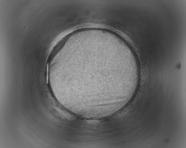 X0000116461223201001061031