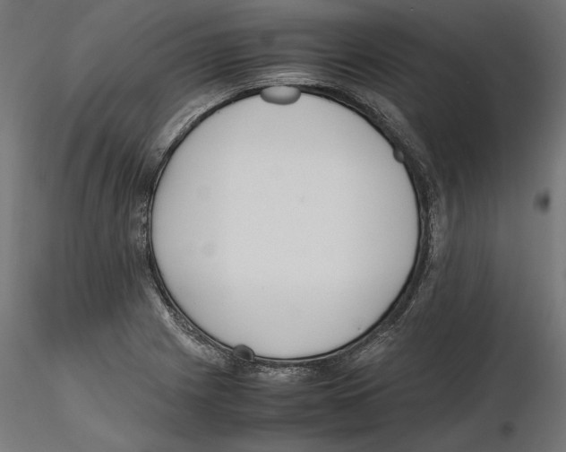 X0000116461225201001061031