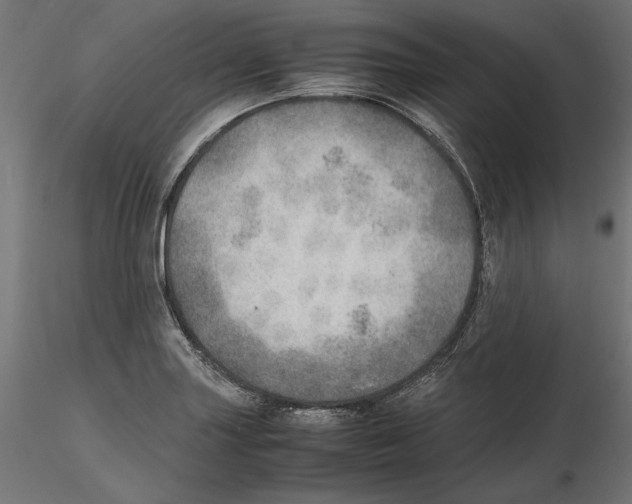 X0000116461227201001061031