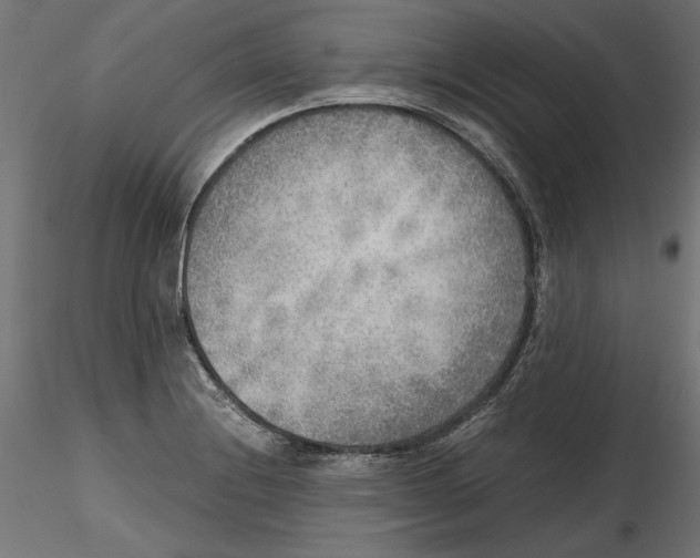X0000116461228201001061031